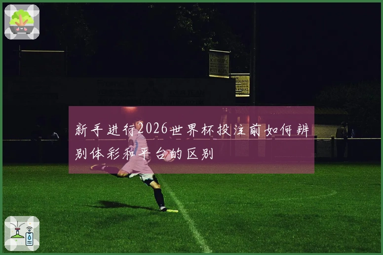 新手进行2026世界杯投注前如何辨别体彩和平台的区别