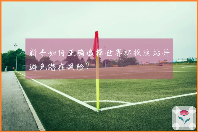 新手如何正确选择世界杯投注站并避免潜在风险？