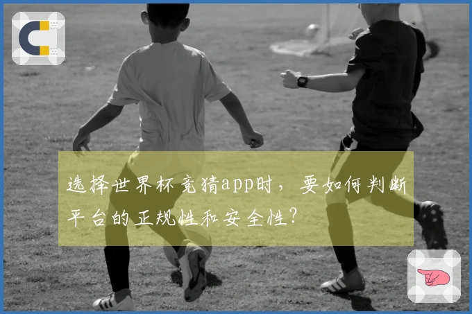 选择世界杯竞猜app时，要如何判断平台的正规性和安全性？