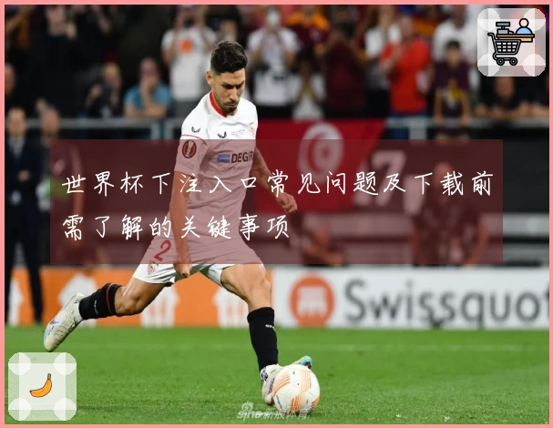 世界杯下注入口常见问题及下载前需了解的关键事项