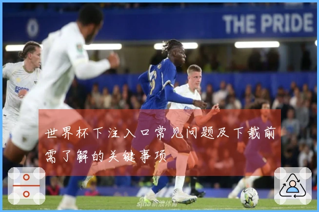 世界杯下注入口常见问题及下载前需了解的关键事项