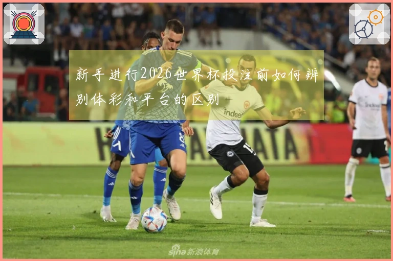 新手进行2026世界杯投注前如何辨别体彩和平台的区别