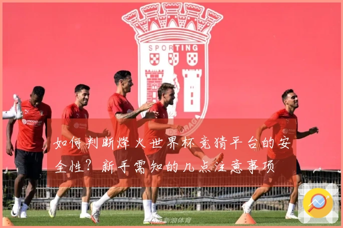 如何判断烽火世界杯竞猜平台的安全性？新手需知的几点注意事项